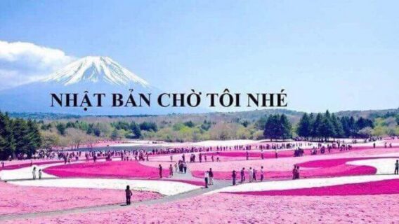 ĐƠN HÀNG NỢ PHÍ HOKKAIDO