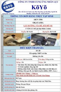 ĐƠN HÀNG LÁT GẠCH