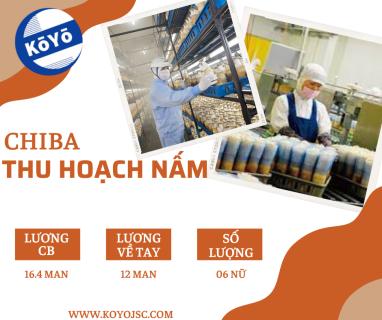 Tuyển 06 nữ Thu Hoạch Nấm, 18-30 tuổi, Chiba