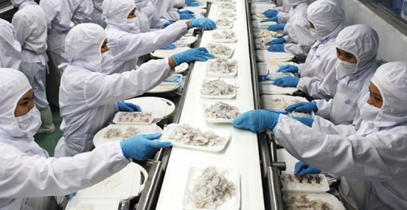 Tuyển 44 nữ, 18-33 tuổi, ngành thực phẩm, tỉnh FUKUOKA, NAGASAKI và SAGA